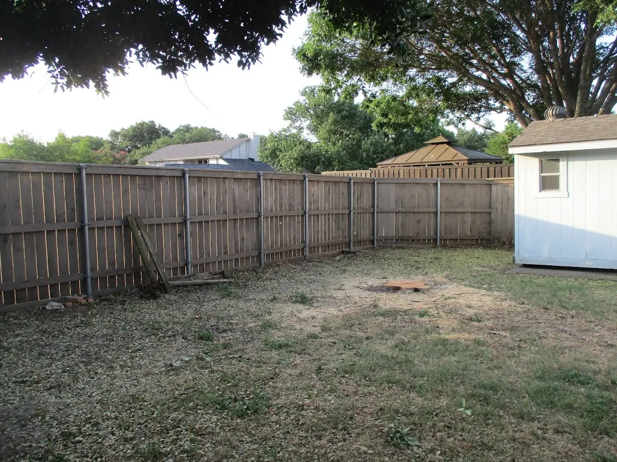 Cleared yard after professional tree removal in Saint Johns